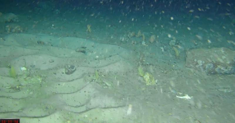 Тайна Антарктиди розкрита: дослідження 100-річного затонулого судна призвело до виявлення ще більш незвичайних фактів.