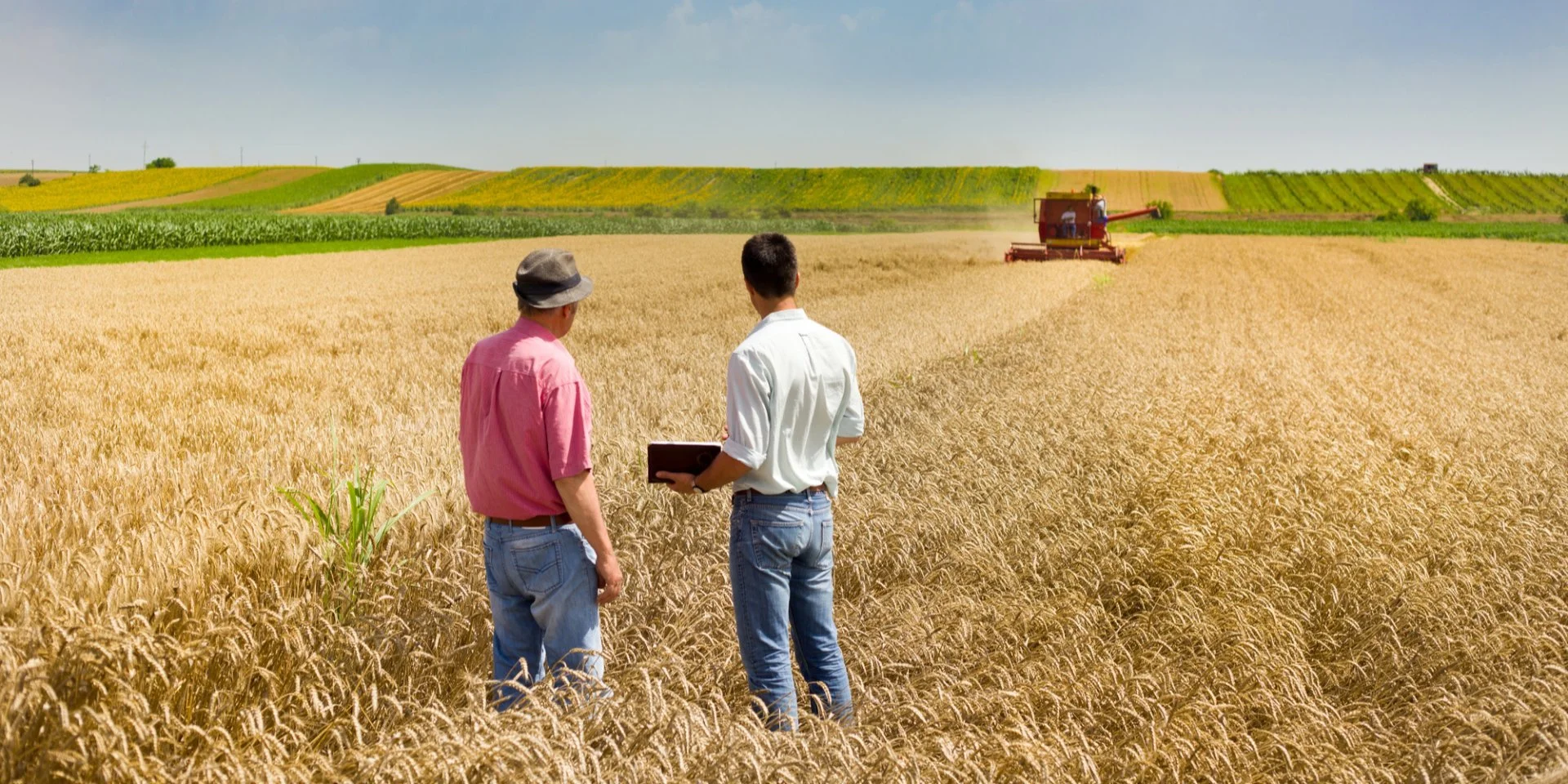 Дивовижні лідери. У яких регіонах України найактивніше орендують земельні ділянки – підсумки чотирирічного реформування.