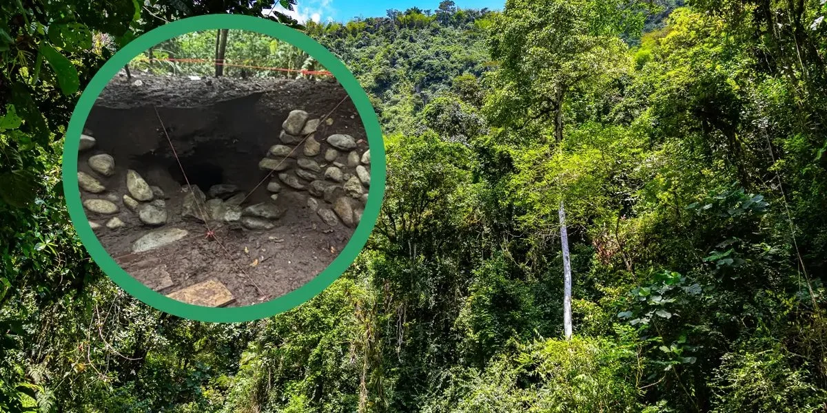 Загадковий світ в Еквадорі. За допомогою технології LiDAR було виявлено численні архітектурні пам'ятки цивілізації Юмбо.