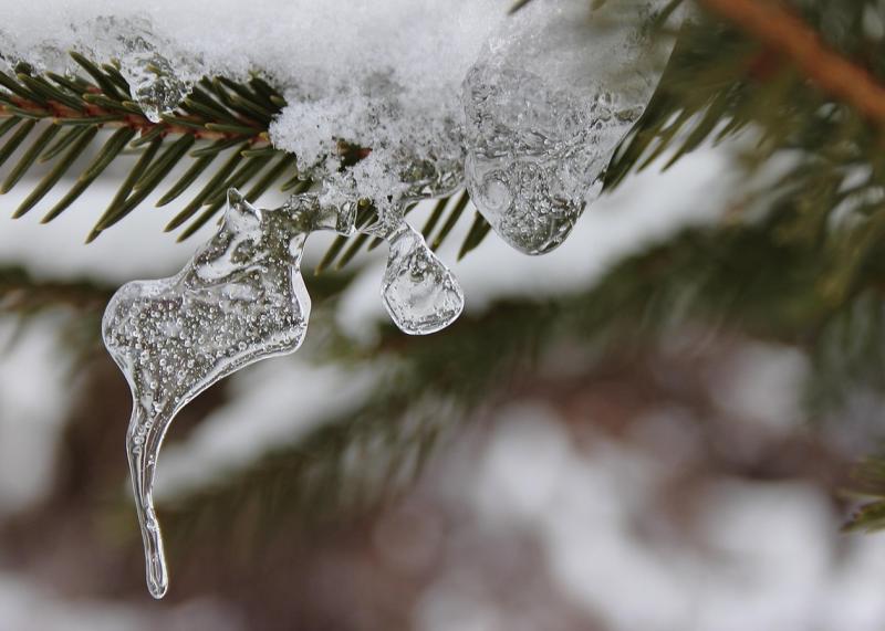 Астрологічний прогноз для кожного знака зодіаку на 21 січня 2026 року