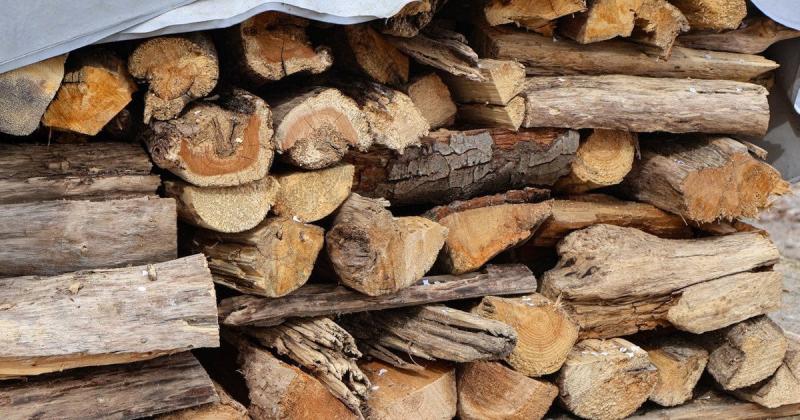 Це не призначено для обігріву: лісник вказав на дрова, що знижують тепло в оселі.