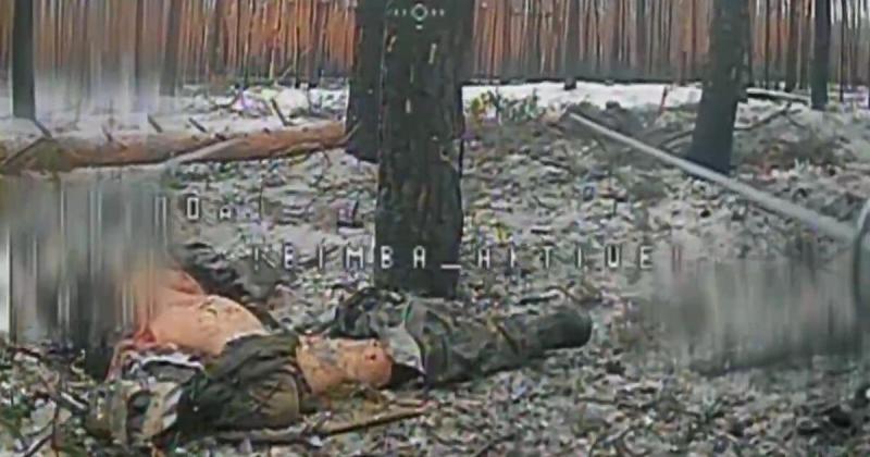 Дрони батальйону 