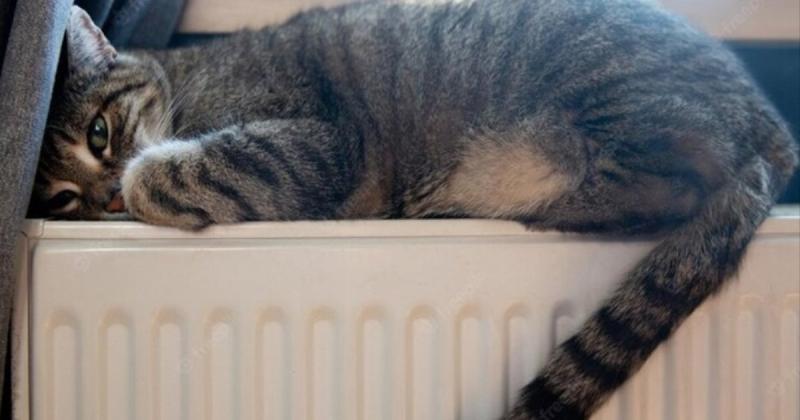 Відновлення енергетичної інфраструктури: Європейський Союз інвестує 22 мільйони євро у систему теплопостачання столиці України.