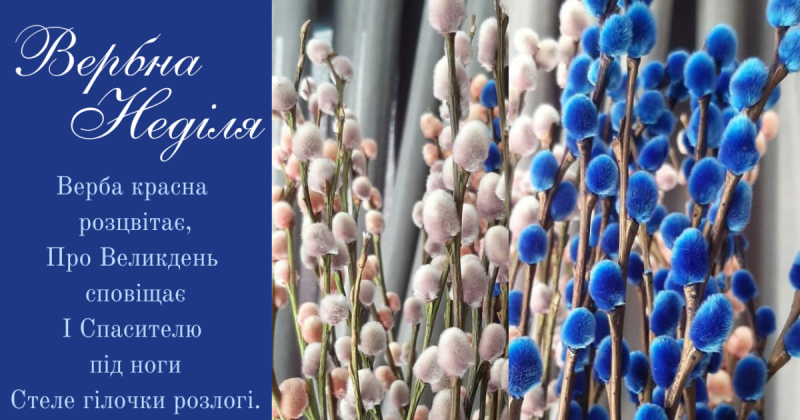 Не я наказываю — это верба наказывает! Самые прекрасные поздравления с Вербным воскресеньем 2026 года в виде картинок и в прозе - Hochu.ua.