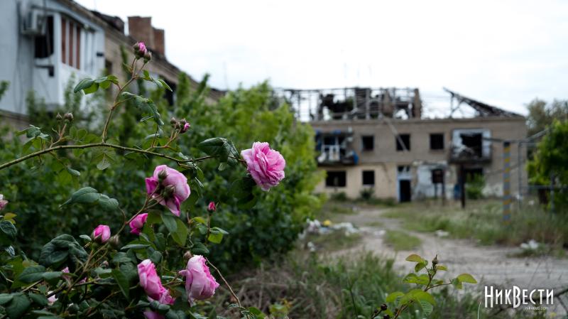 Дрони та артилерія: російські війська здійснили напад на громаду в Миколаївській області