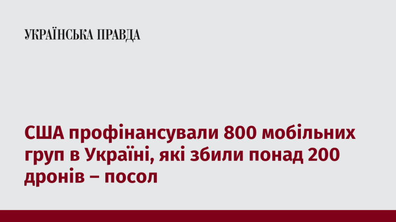 Сполучені Штати виділили кошти на підтримку 800 мобільних груп в Україні, які знищили більше 200 безпілотників, повідомив посол.