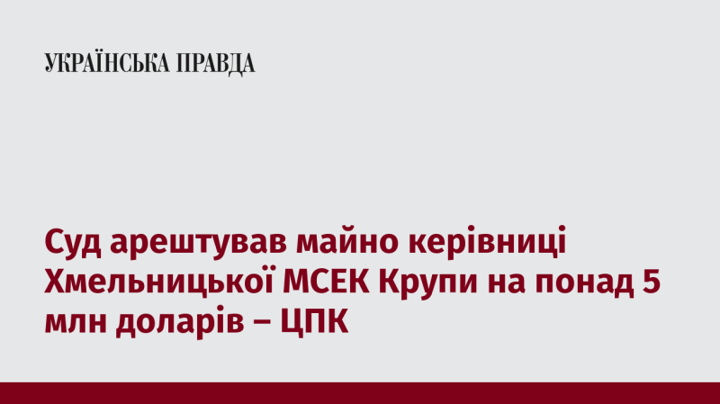 Суд наклав арешт на майно керівниці Хмельницької МСЕК Крупи, оцінюючи його в понад 5 мільйонів доларів, повідомляє ЦПК.