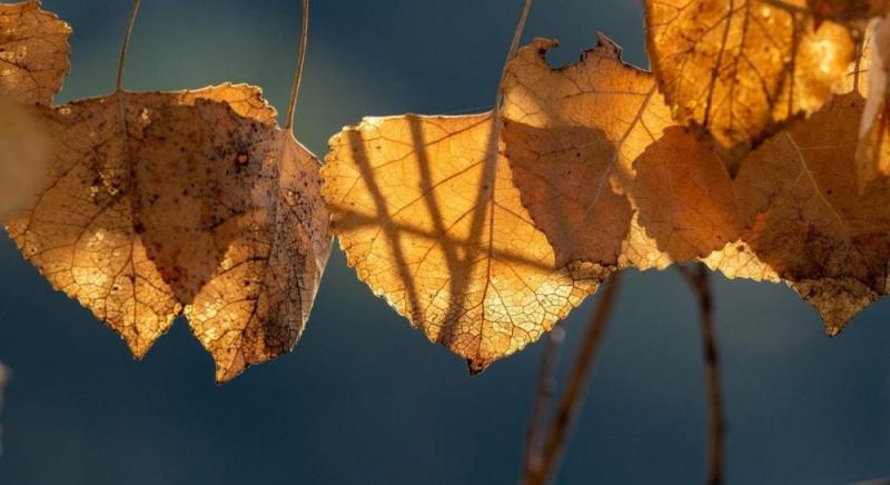 Україна нагріється до +13°: метеоролог порадував прогнозом.