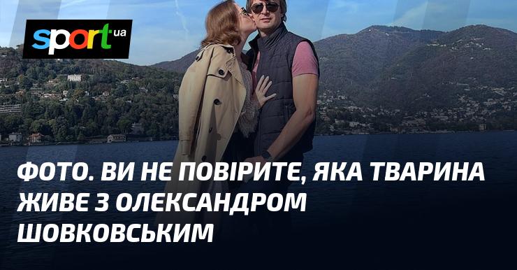 Зображення. Вам важко буде у це повірити, але з Олександром Шовковським мешкає незвичайний вихованець.