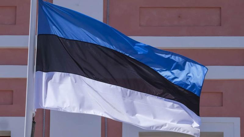 В Естонії проросійські політики намагалися заснувати власну систему оборони за допомогою підтримки Російської Федерації.