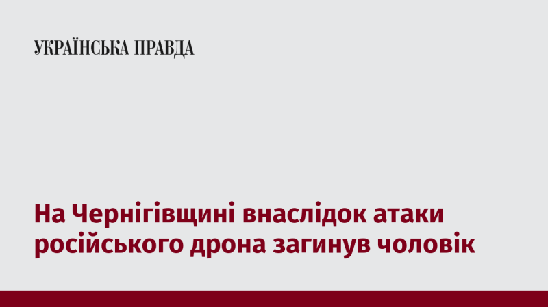 У Чернігівській області в результаті нападу російського безпілотника загинула одна людина.