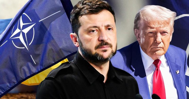 Саміт НАТО в Гаазі: які виклики та можливості чекають на Україну – думки американських та європейських аналітиків.