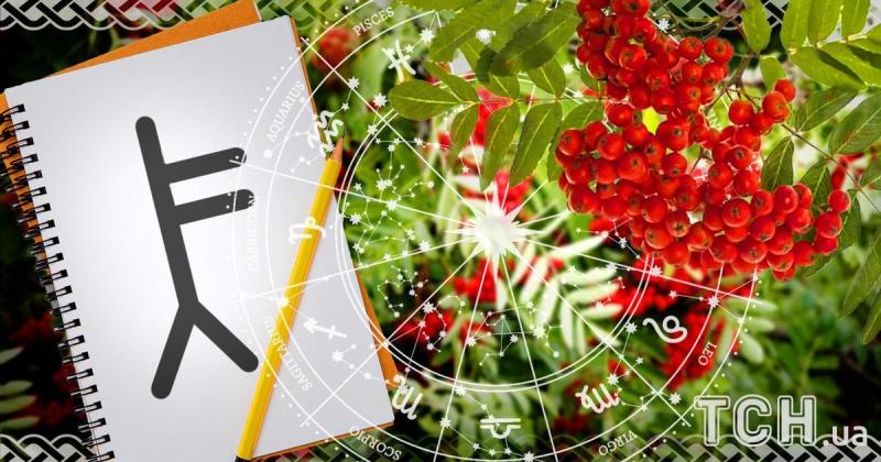 Кельтський гороскоп дерев на 21 червня 2025 року: Рибам рекомендується покластися на свою інтуїцію, тоді як Левам слід зосередитися на укріпленні своїх позицій.