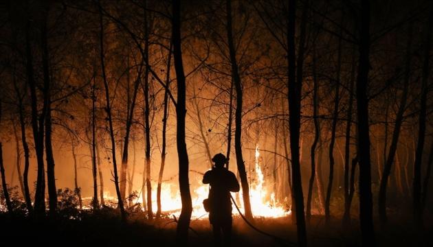 У Греції спалахнули масштабні лісові пожежі, і в околицях Афін розпочато процес евакуації населення.