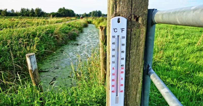 Прогноз погоди: Наталка Діденко поділилася інформацією про те, чи варто очікувати дощі в п'ятницю та на вихідних – дивіться карти.