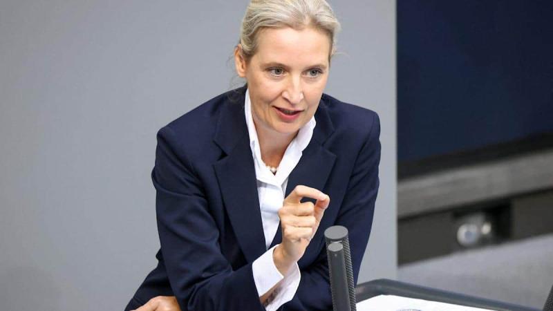 Співголова 