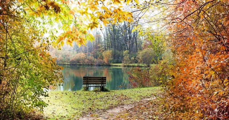 В Україні на вихідних, 18-19 жовтня, очікується дощ зі снігом та поривчастий вітер.