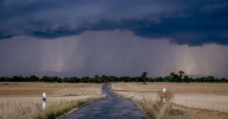 На Україну йде загроза: де слід чекати на сильний вітер та дощі 24 жовтня.