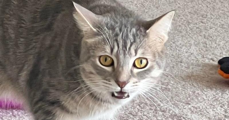 Жінка знайшла оригінальний спосіб 