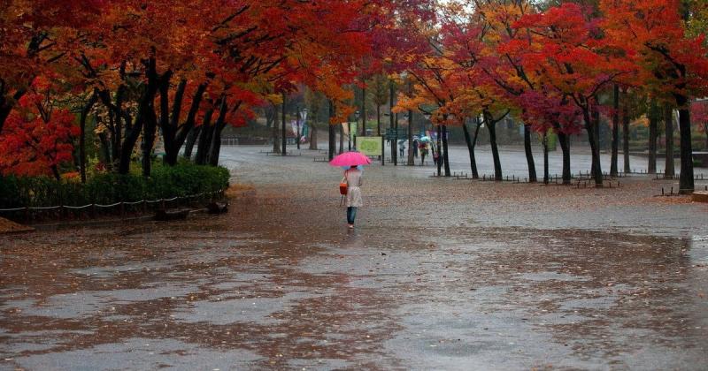 Де в Україні очікуються дощі 5 листопада — синоптичний прогноз.