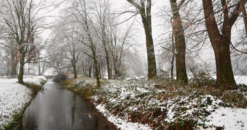 Синоптики повідомили, коли в Україні очікується мокрий сніг.