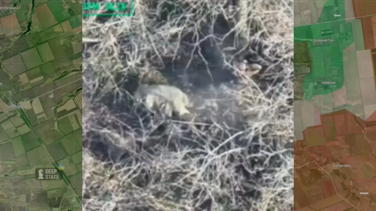 Російські війська відкрили вогонь по двох українських солдатах | Основні новини України