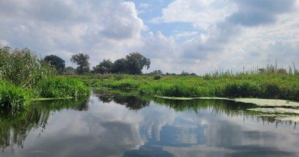 Депутати Рівного ухвалили рішення про заборону зведення будівель на площі, де планується створення нового заказника.