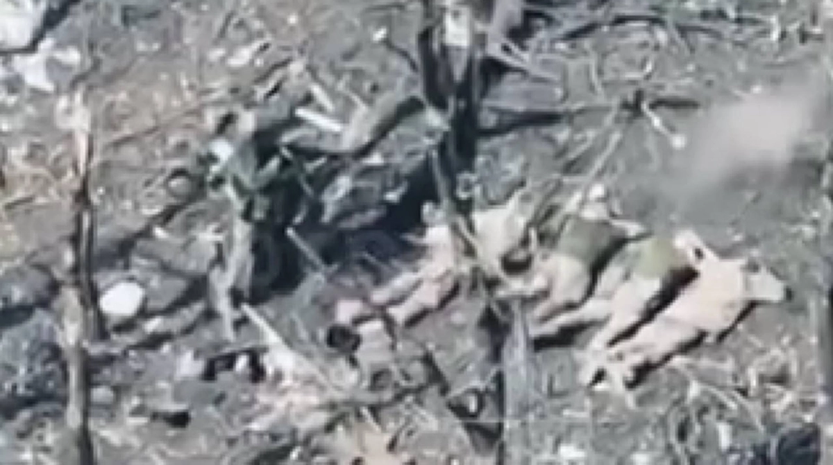 У Покровському районі загарбники вчинили розстріл п'яти українських бійців, які були взяті в полон.