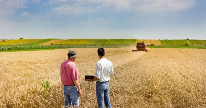 Кредити для аграріїв на площі до 500 гектарів: Міністерство економіки розпочинає пілотний проект з портфельними гарантіями – Delo.ua