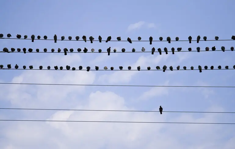 Україна на роздоріжжі: Як світ спочатку підтримував нас, а потім втратив інтерес.