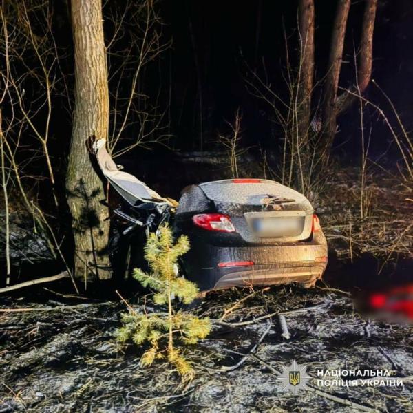 Автомобіль з дітьми виїхав з траси на Харківщині: водійка загинула.