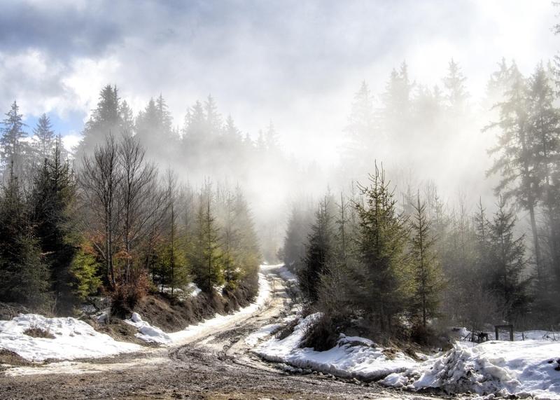 Астрологічний прогноз для кожного знака зодіаку на 16 січня 2026 року
