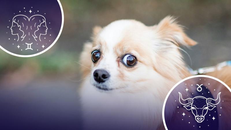 Неприємні ситуації можуть підстерігати ці знаки зодіаку, але у них ще є шанс все виправити.