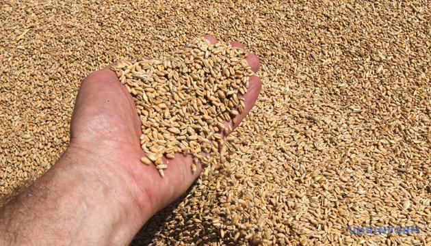 Ціни на українське зерно як нового, так і старого врожаїв стали однаковими.