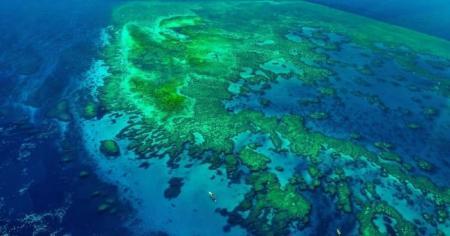 Світовий океан почав швидко темніти: науковці сигналізують про потенційну глобальну катастрофу для нашої планети.