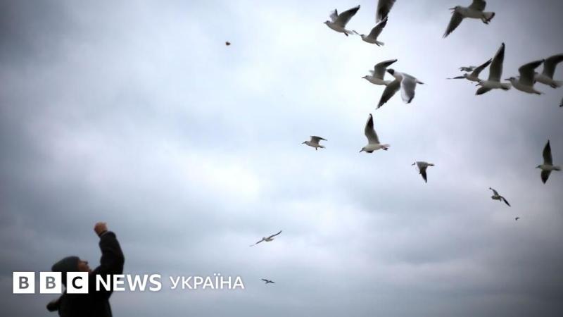На українські землі наближаються сильні штормові вітри та морозна погода - BBC News Україна