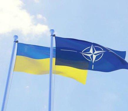 Україна планує долучитися до саміту НАТО, який відбудеться в Туреччині.